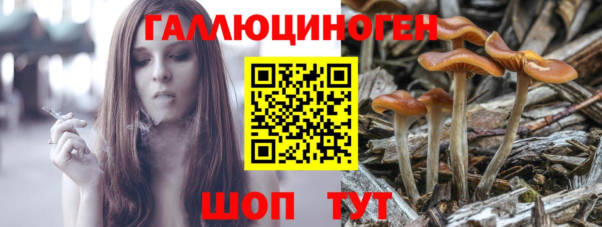 Нальчик  Галлюциногенные грибы Magic Shrooms  Псилоцибиновые грибы мицелий  Вход с VPN 