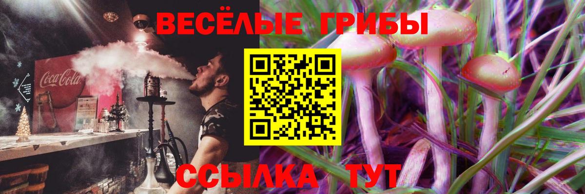 Галлюциногенные грибы Cubensis Нальчик